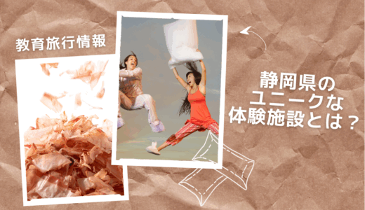 「まくら投げ」から「カツオ節削り」？！静岡県のユニークな体験とは？